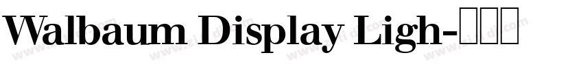 Walbaum Display Ligh字体转换